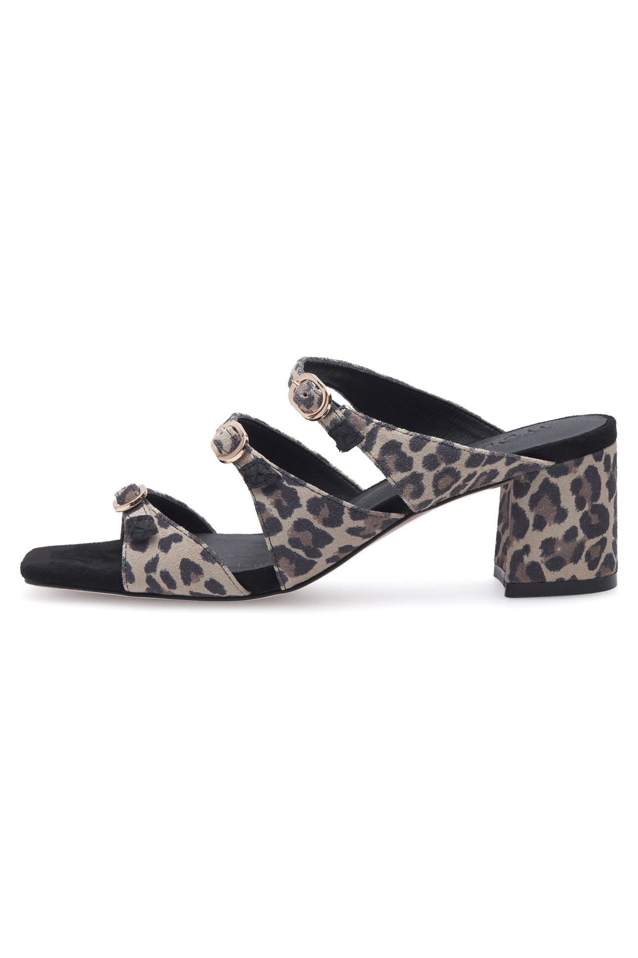 HANNA LEO LEOPARD 1