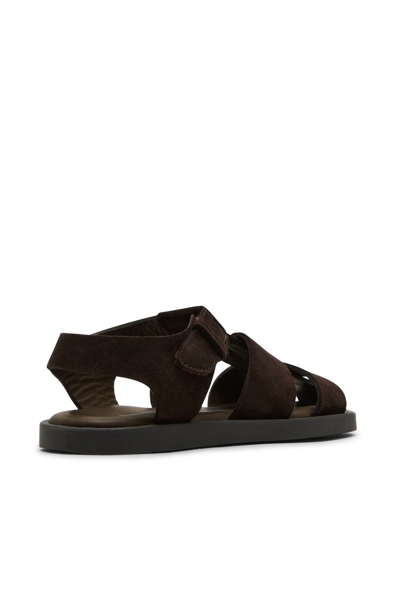 GANNTON BROWN 2