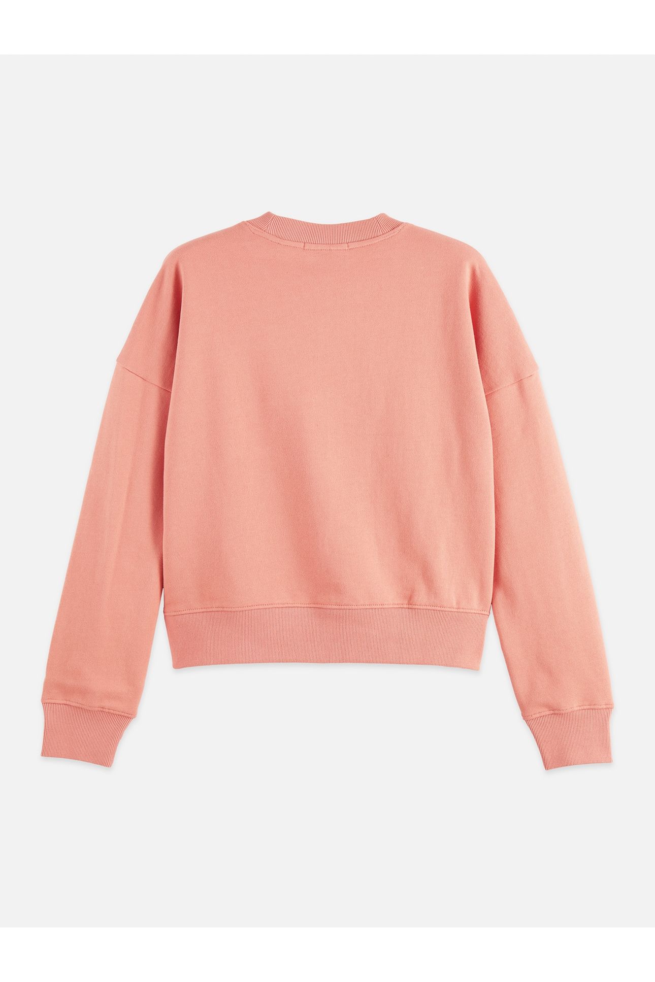 EMBROIDERED LOGO RELAXED FIT SWEATSHIRT CANYON CLAY 2