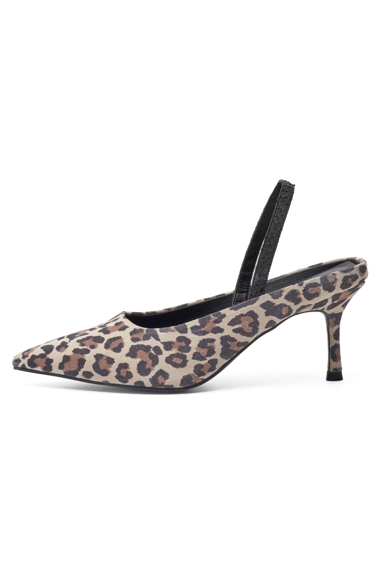 SOPHIE LEO LEOPARD 1
