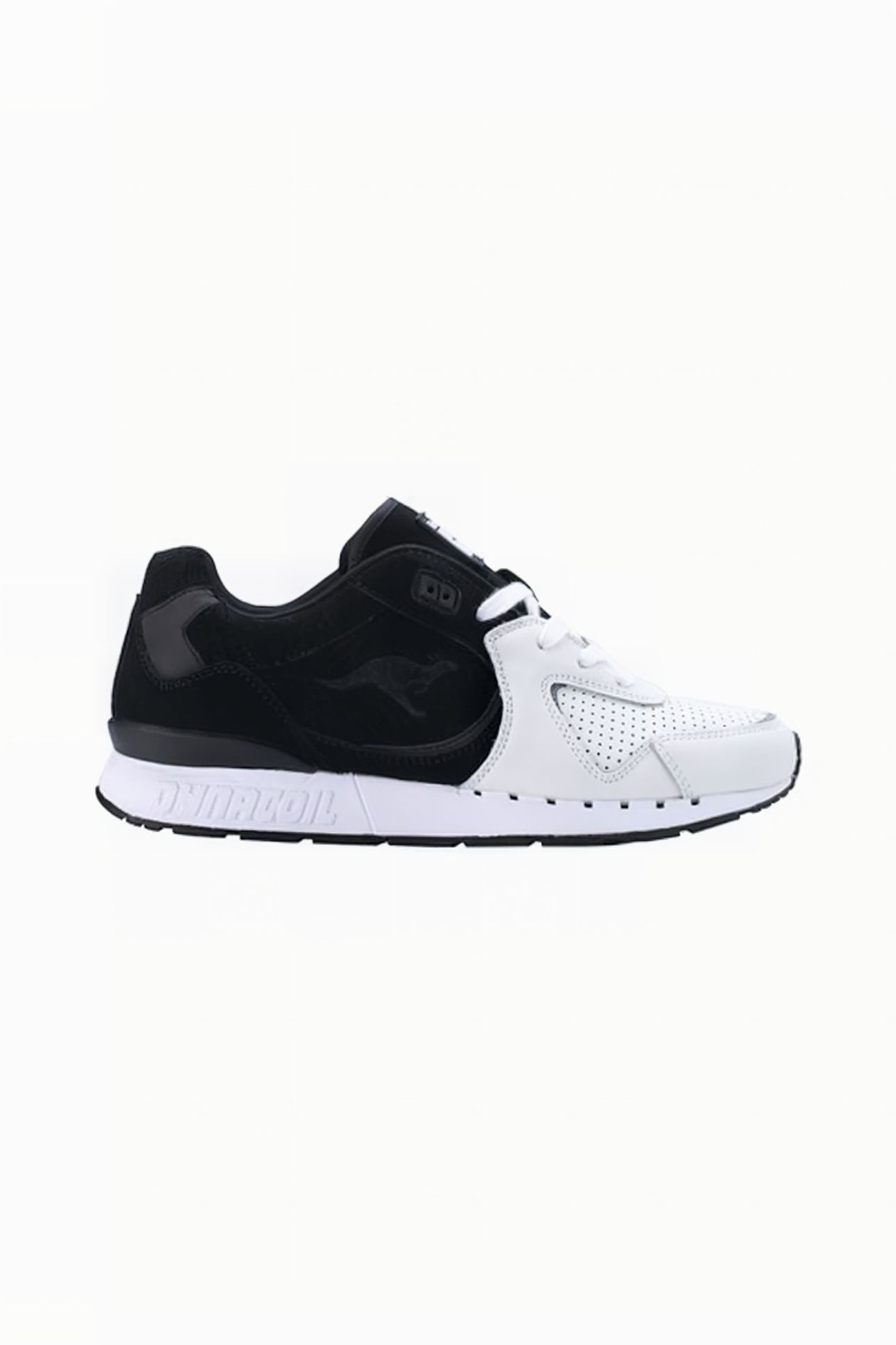 COIL-R2 TONE BLACK/WHITE 1