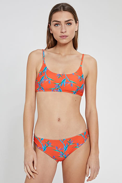 LADIES CRANEFLOWER LOW BRIEF MULTI COLOUR 3