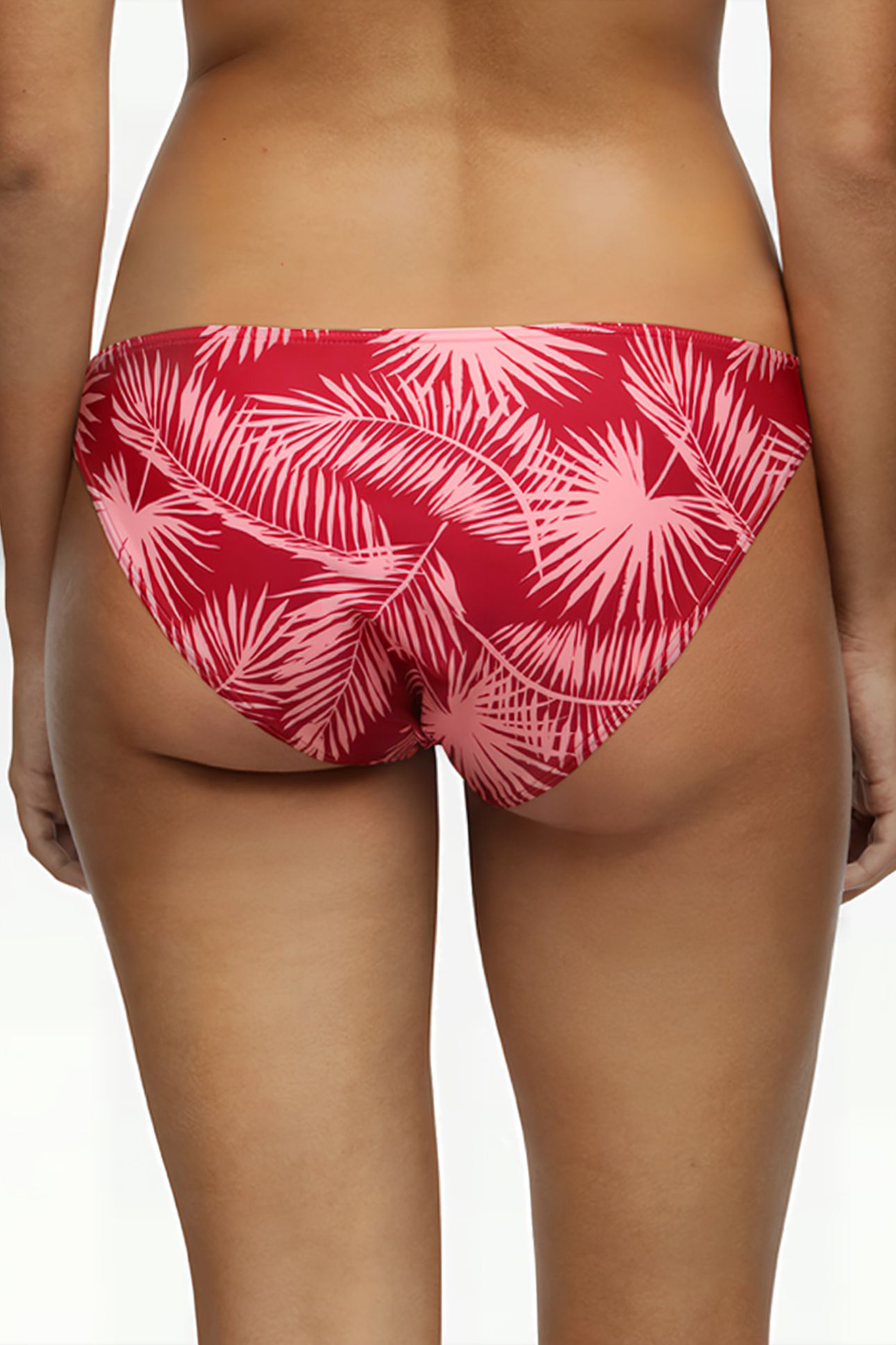 SW BO. BRIEF RIO PALM LEAF RED PLUM RED PLUM 2