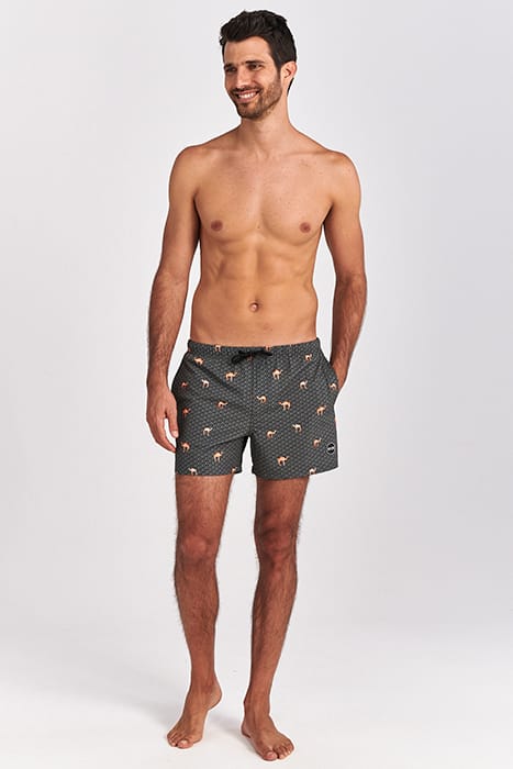 MEN SWIM SHORT DESERT CAMEL 4-WAY STRETCH CILANTRO GREEN 4