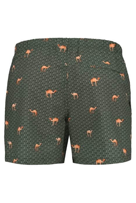 MEN SWIM SHORT DESERT CAMEL 4-WAY STRETCH CILANTRO GREEN 6