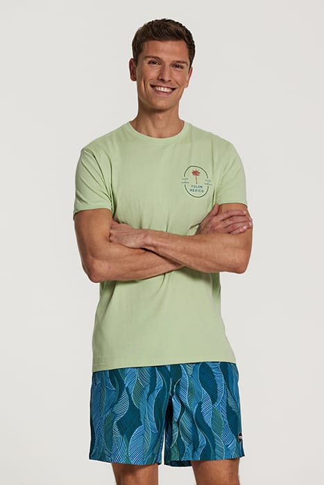 MEN TEE TULUM PALM FADED MINT GREEN 5