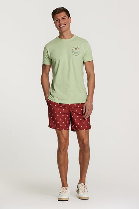 MEN TEE TULUM PALM FADED MINT GREEN 3
