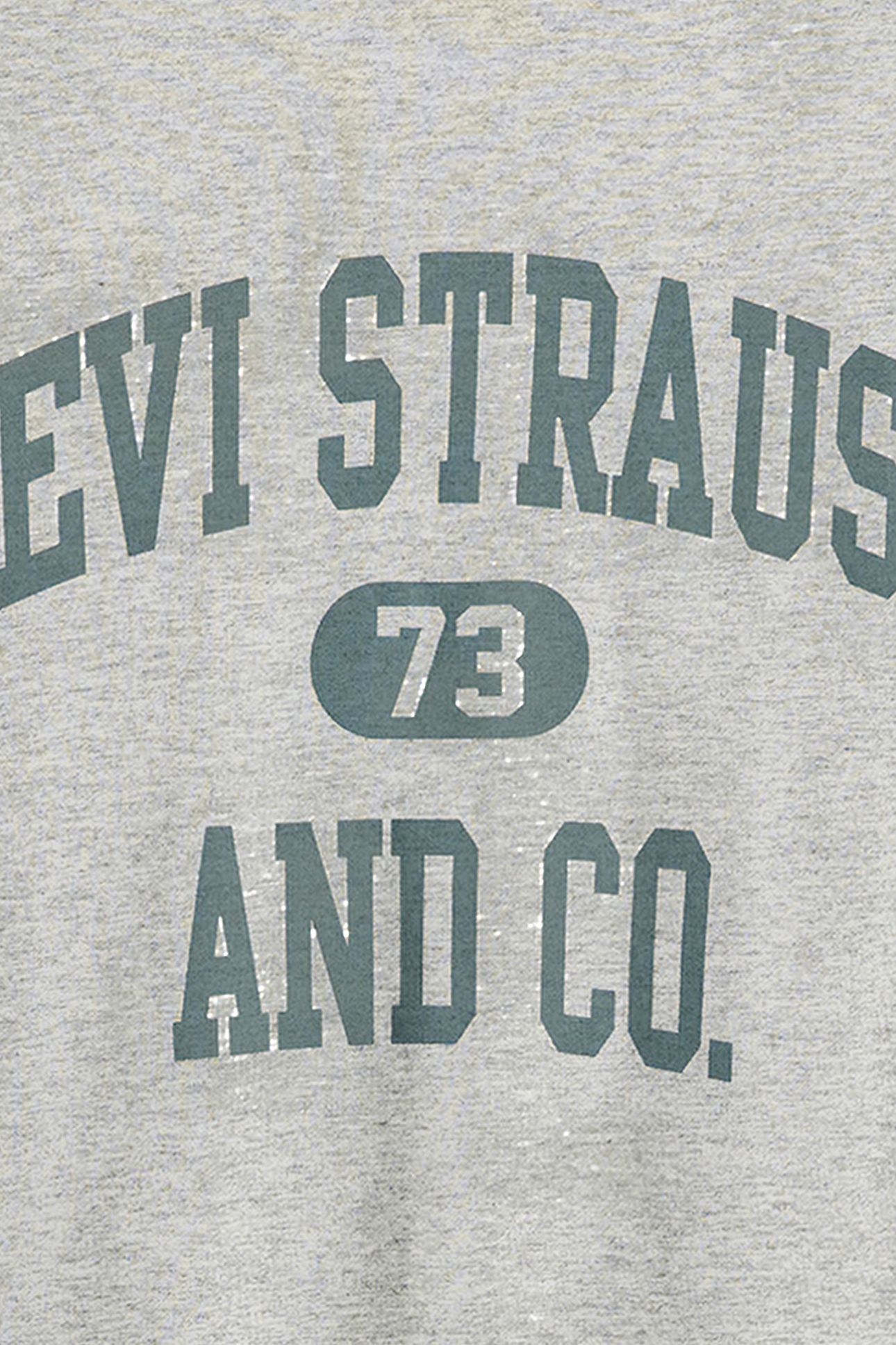 SS PRINTED T-SHIRT GREY 6