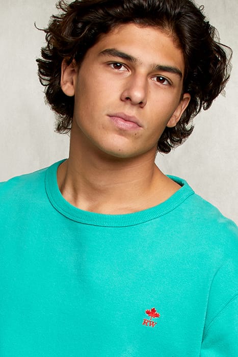 BASIC CREW NECK SWEATER KIWI GREEN 3
