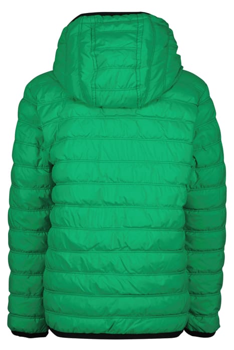BOYS TELDON JACKET GRASS GREEN 4