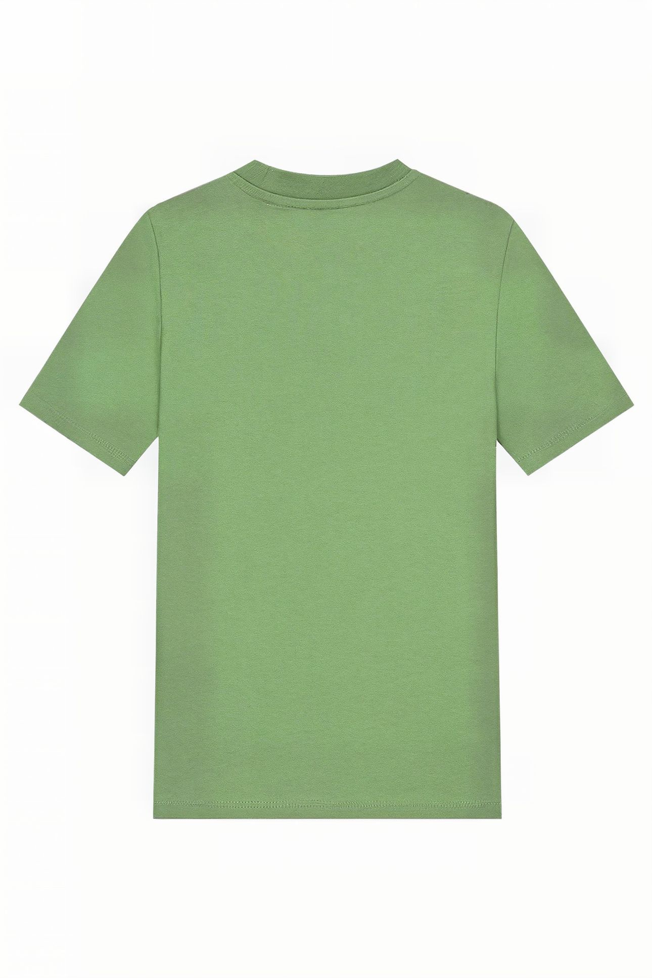 ARTHUR T-SHIRT FERN GREEN 2