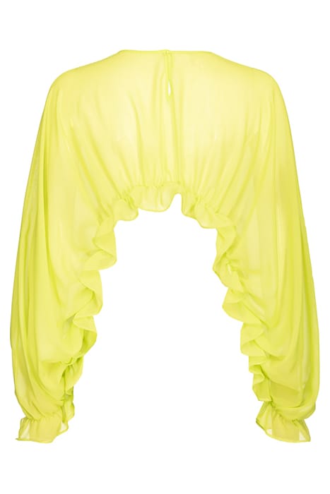 CARAMBOLA SHURG LIME YELLOW 4
