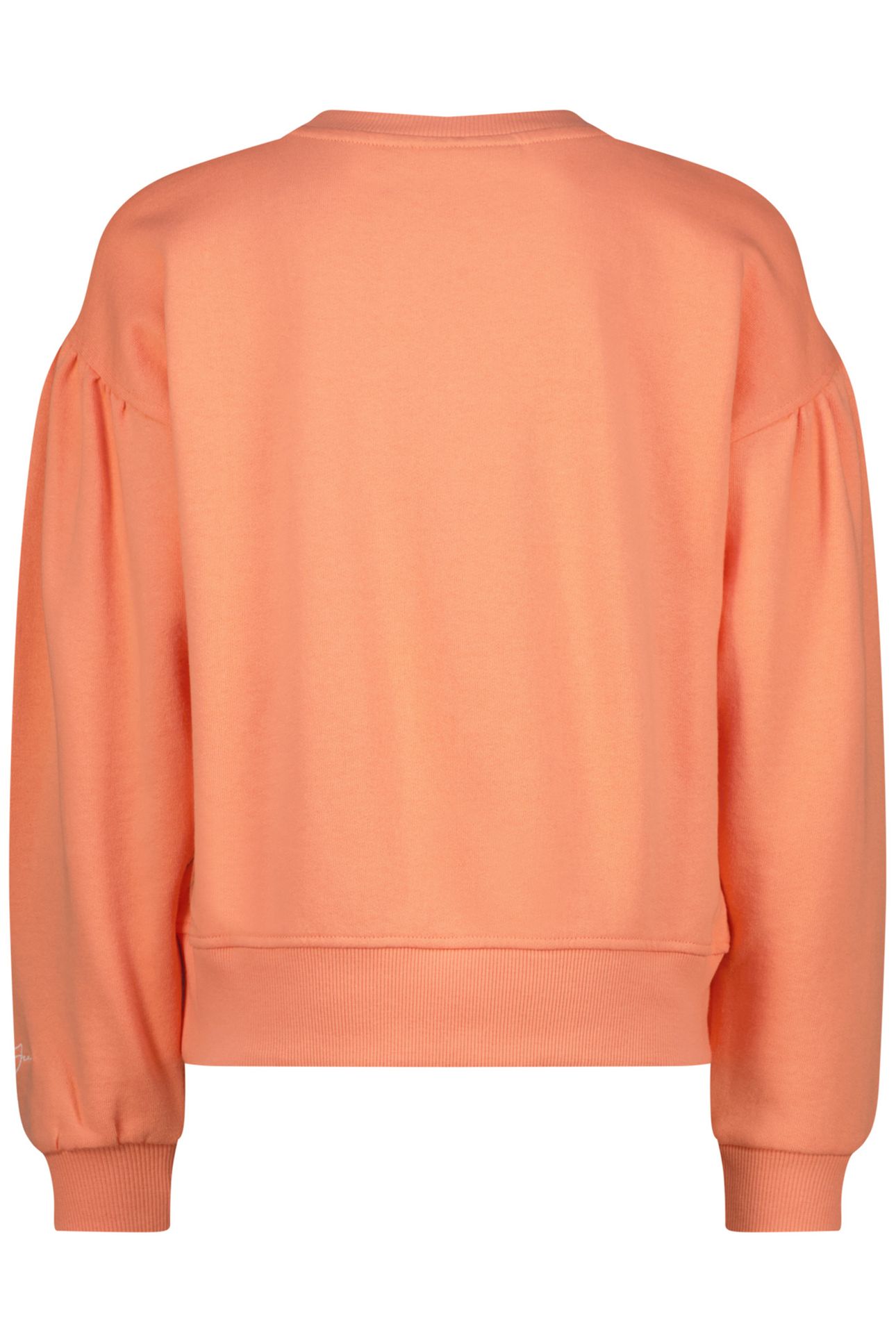 NORAN PASTEL PAPAYA 2