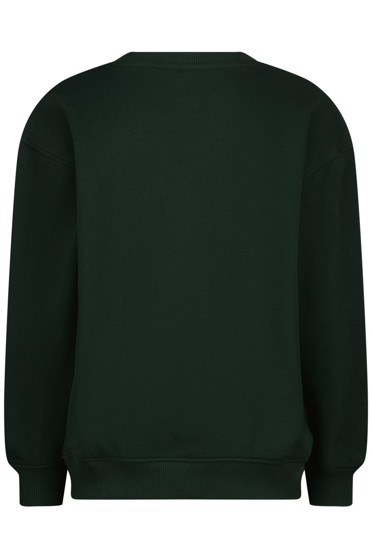 BOYS NOAR SWEATER RACING GREEN 2