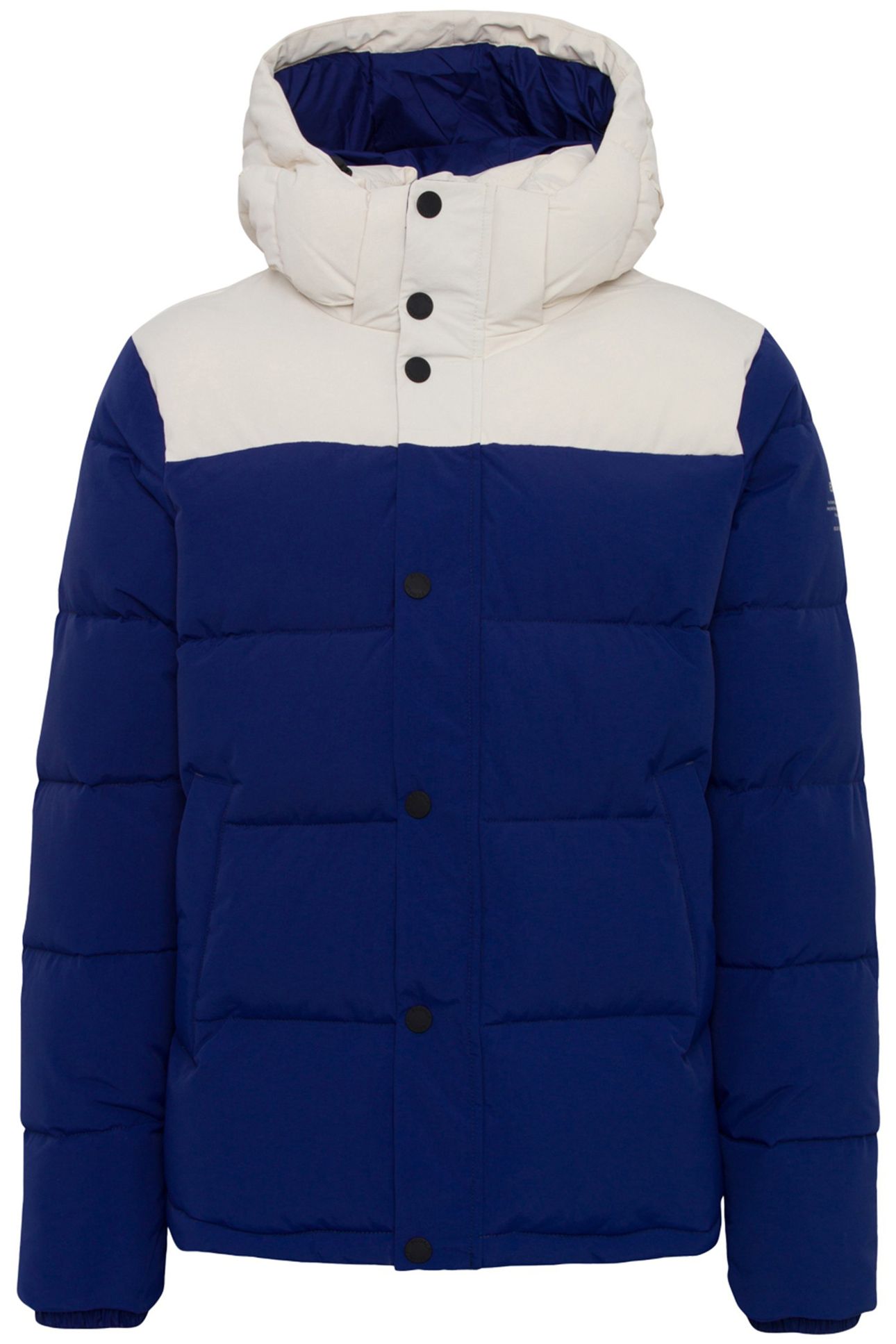 JANNUALF JACKET BLUE PRINT 1
