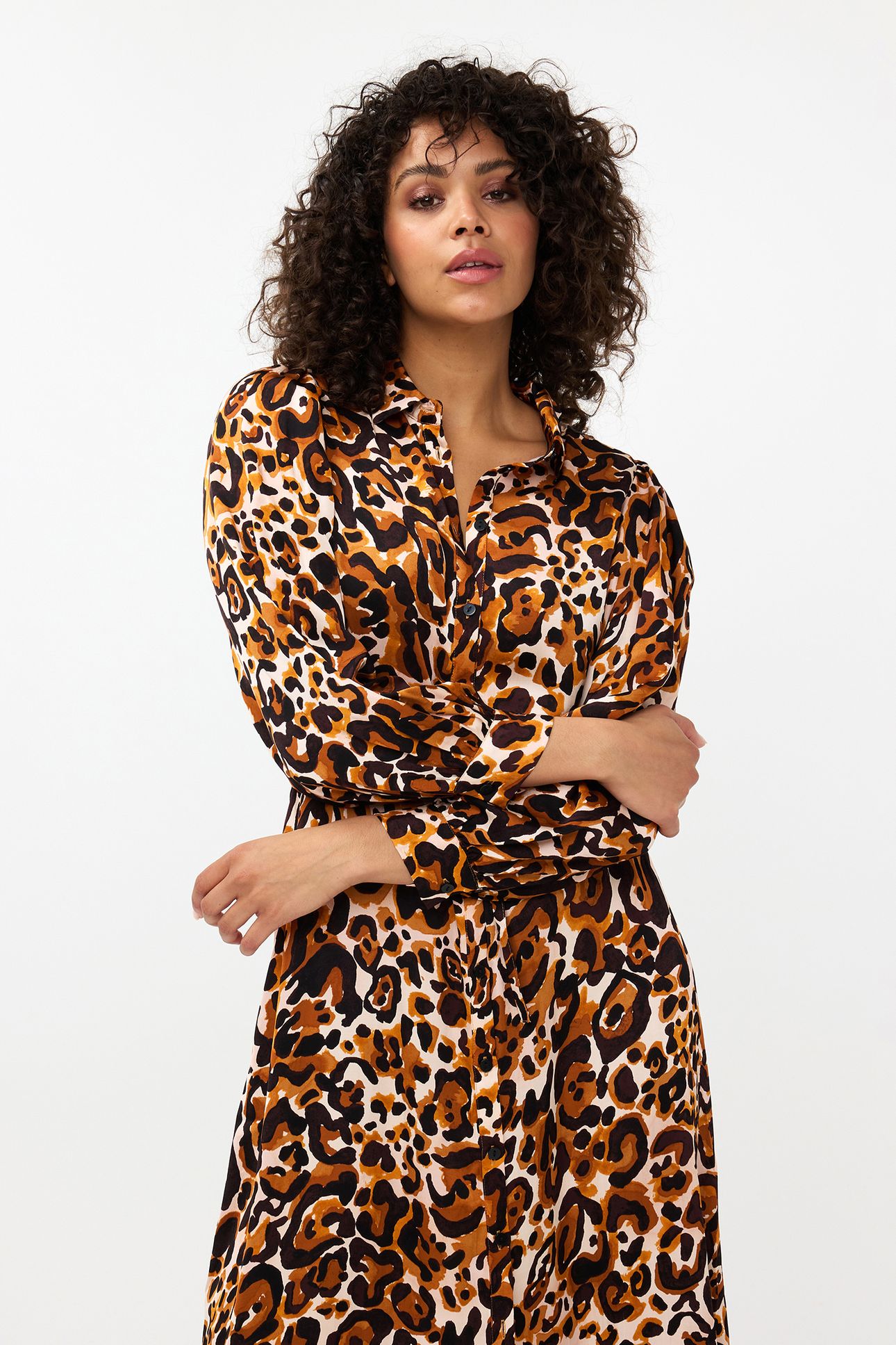DRESS LONG ANIMAL LAND PRINT 3