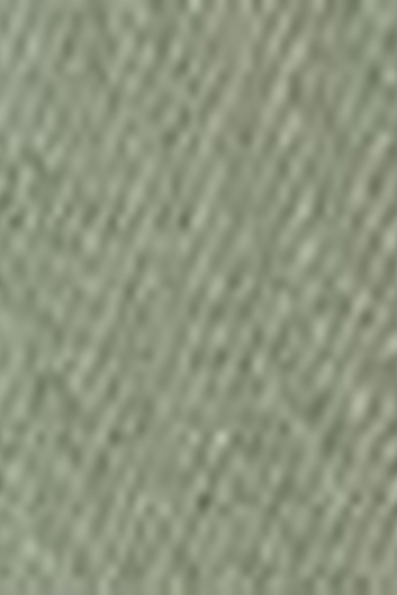 501® ORIGINAL JEANS GREEN 8