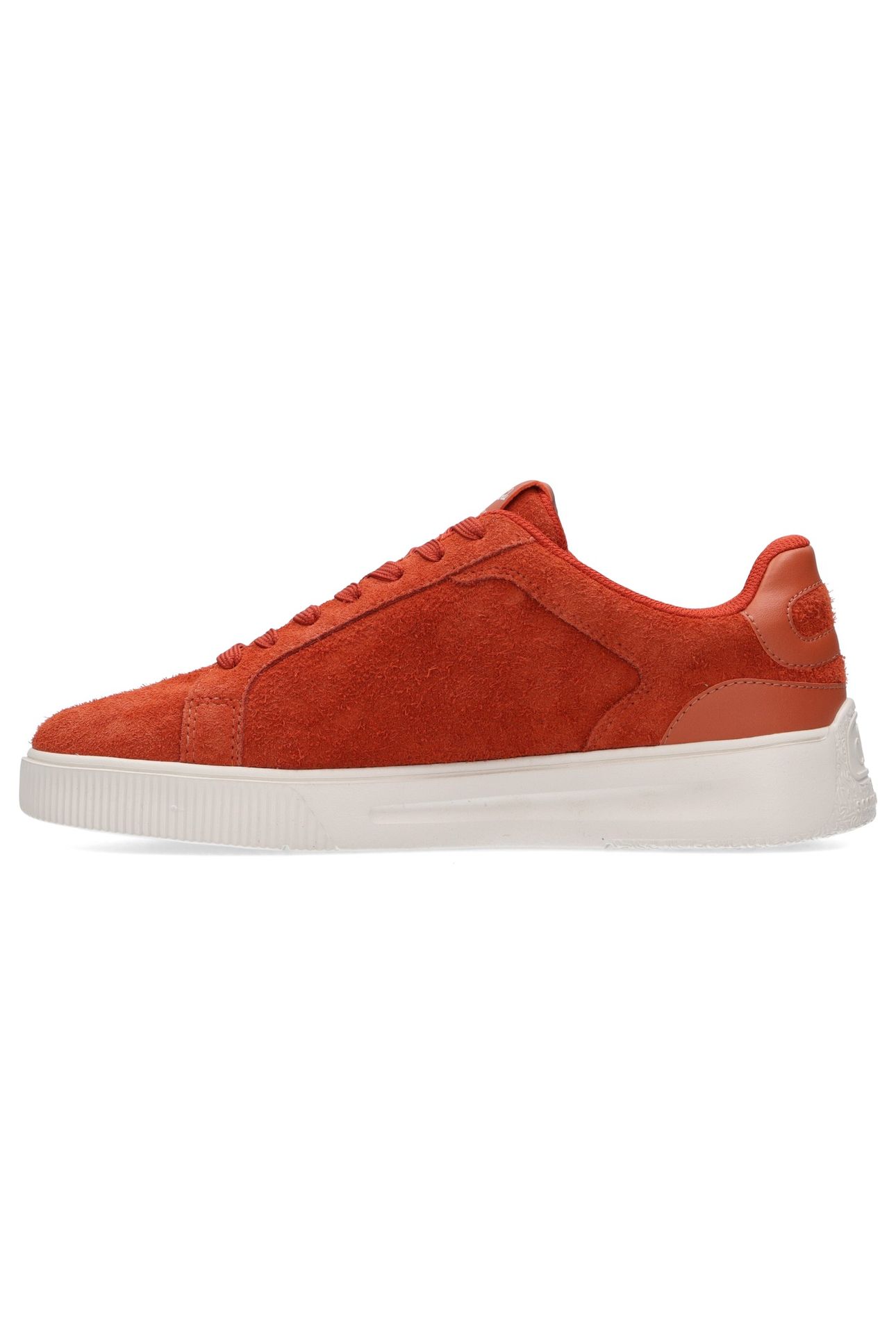 COLEMAN RUST 2
