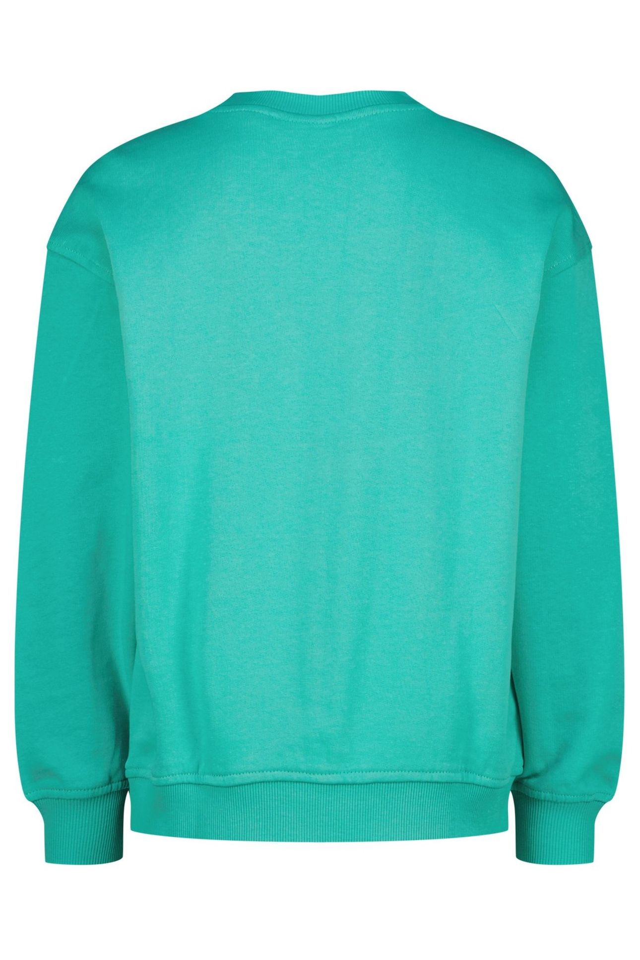 BOYS CREWNECK BASIC SWEATER FEARLESS TURQUOISE 2
