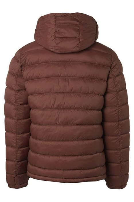 JACKET SHORT FIT HOODED RECYCLED PADDING BRANDY 6