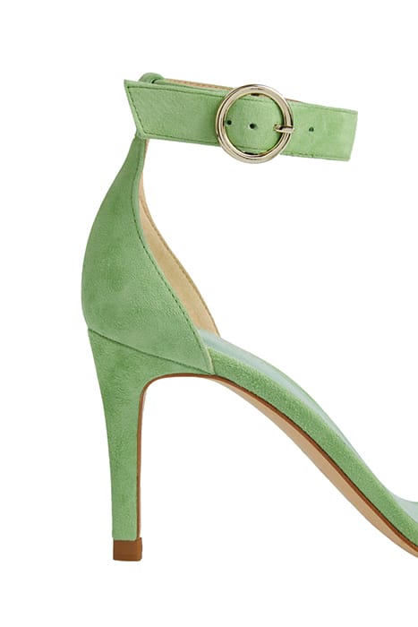 IVY GREEN 4