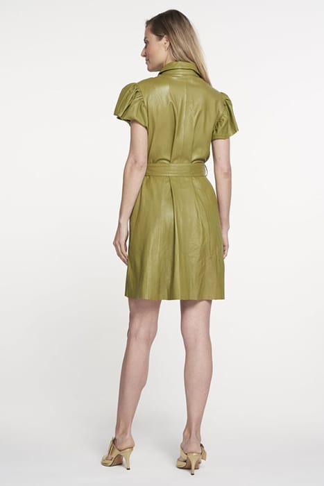 DIEN FOREST GREEN 3