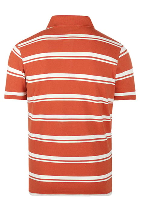 BOLD STRIPE POLO TERRA 2