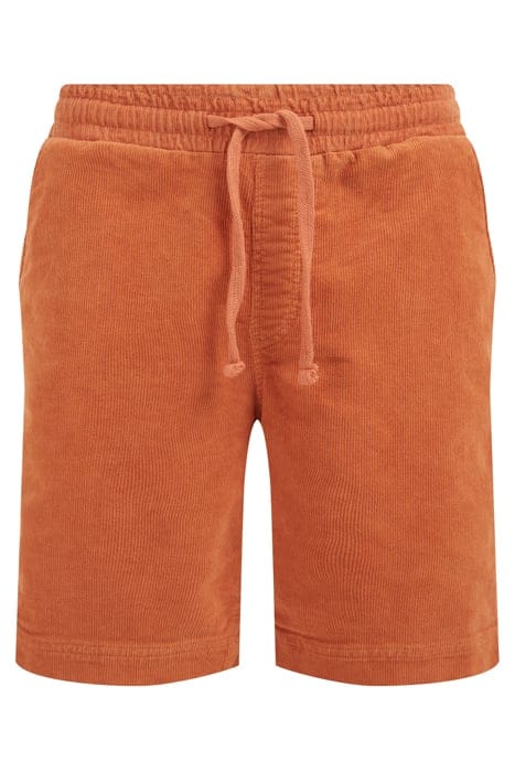 CHINO ORANGE 4