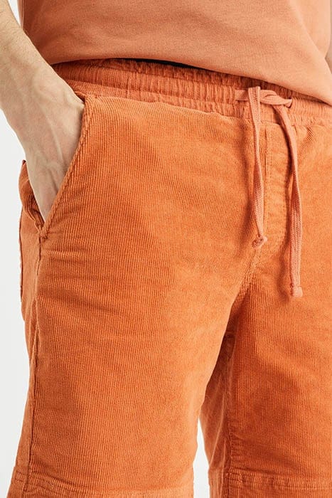 CHINO ORANGE 6