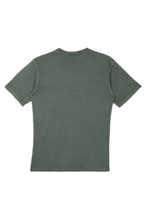 HOLDY NEW OLIVE 2