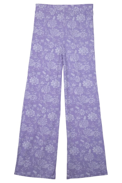 SAGE TRUE LILAC 2