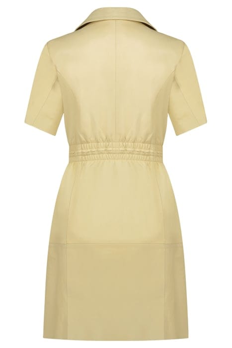DIAZ BUTTERY YELLOW 2