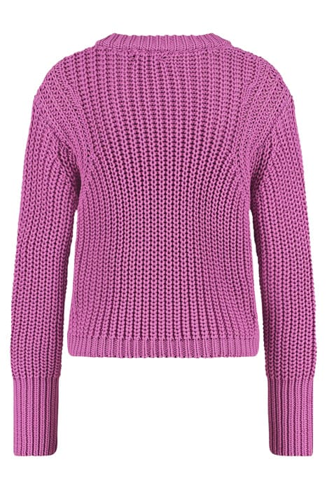 TOSH WILD ROSE 4