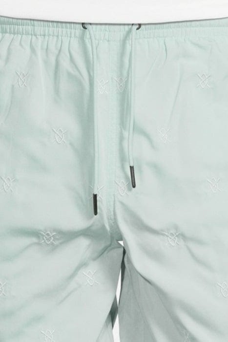 PASTEL TURQUOISE ESWIM SHORTS 5