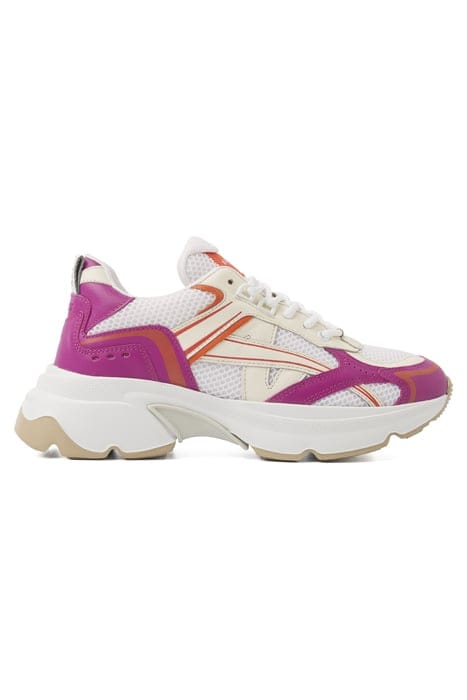 ROSS NOMAD (L) PINK COMBI 1