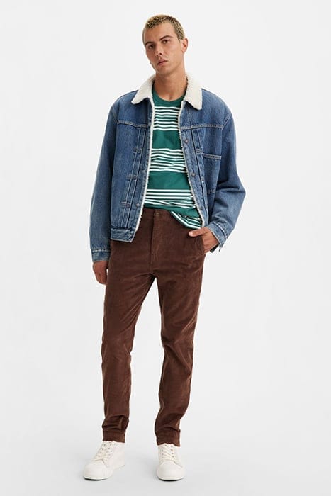 XX CHINO BROWN 1