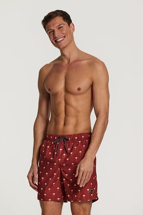 MEN SWIMSHORT SCRATCHED SHIWI PALM TANDORI SPICE BROWN 1