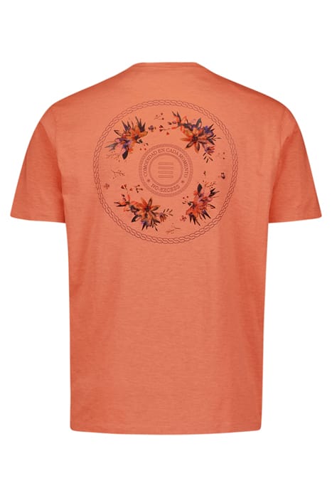 T-SHIRT V-NECK MELANGE GARMENT DYED PLACED PRINT MELON 5