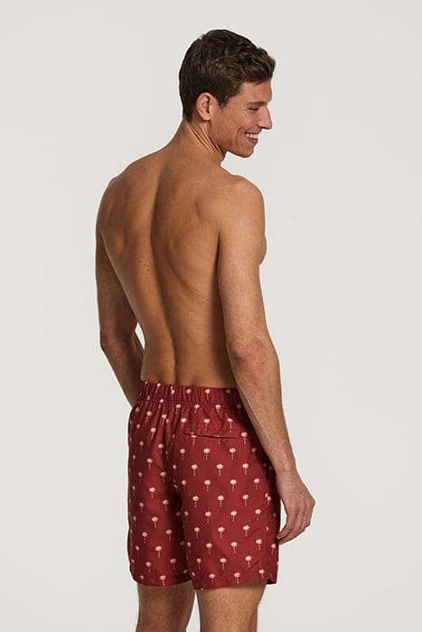 MEN SWIMSHORT SCRATCHED SHIWI PALM TANDORI SPICE BROWN 2