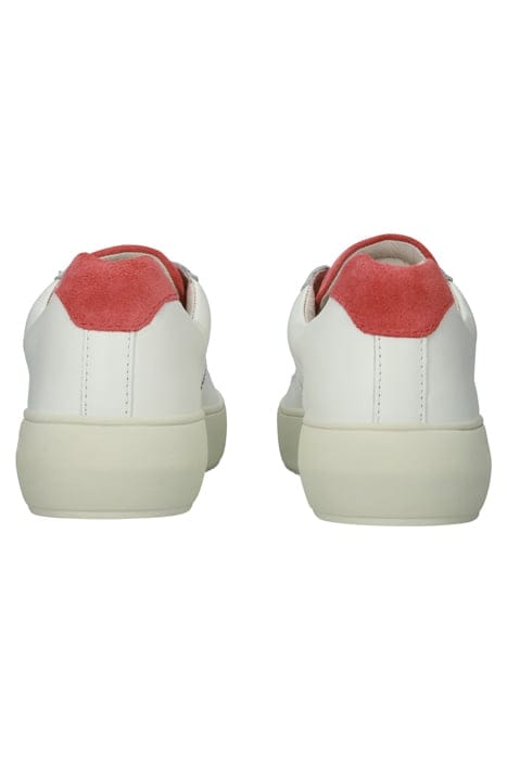 MARLY - BL223 WHITE BEGONIA - SNEAKER (LOW) WHITE BEGONIA 4