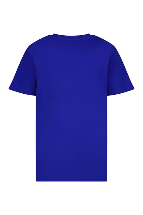 HOAPY WEB BLUE 4