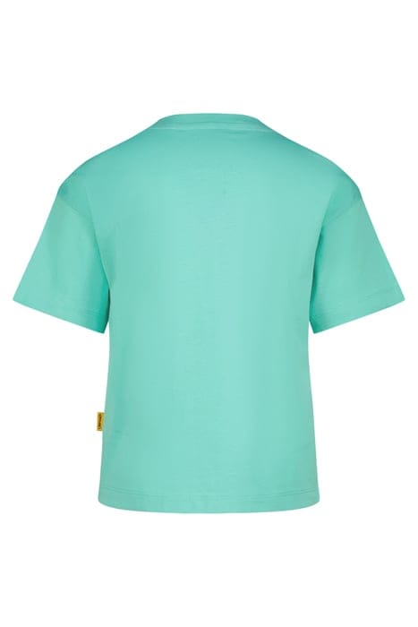 HANZA TROPIC MINT 2