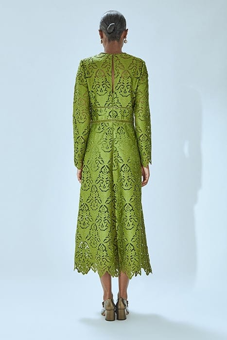 olive green lace dress GRACIE LACE MIDI DRESS OLIVE | Online Outlet