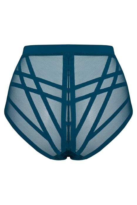THE ILLUSIONIST TRANSPARENT PETROL BRIEFS 2