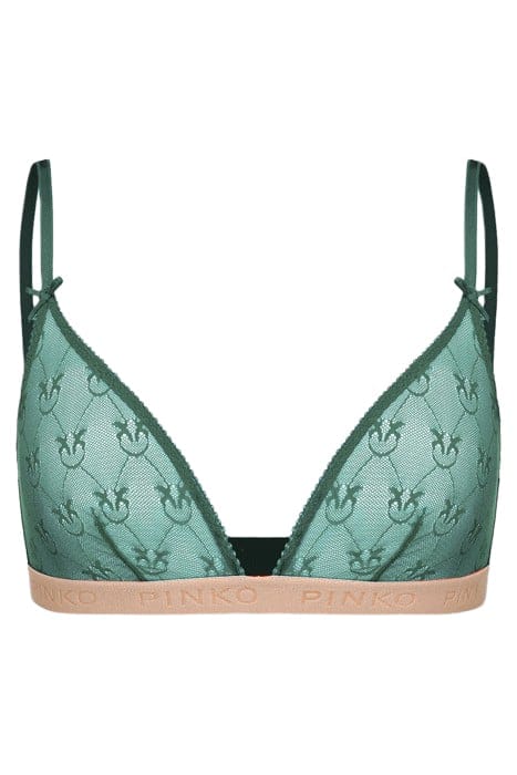 ALBA CHIARA BRA GREEN/NUDE 1