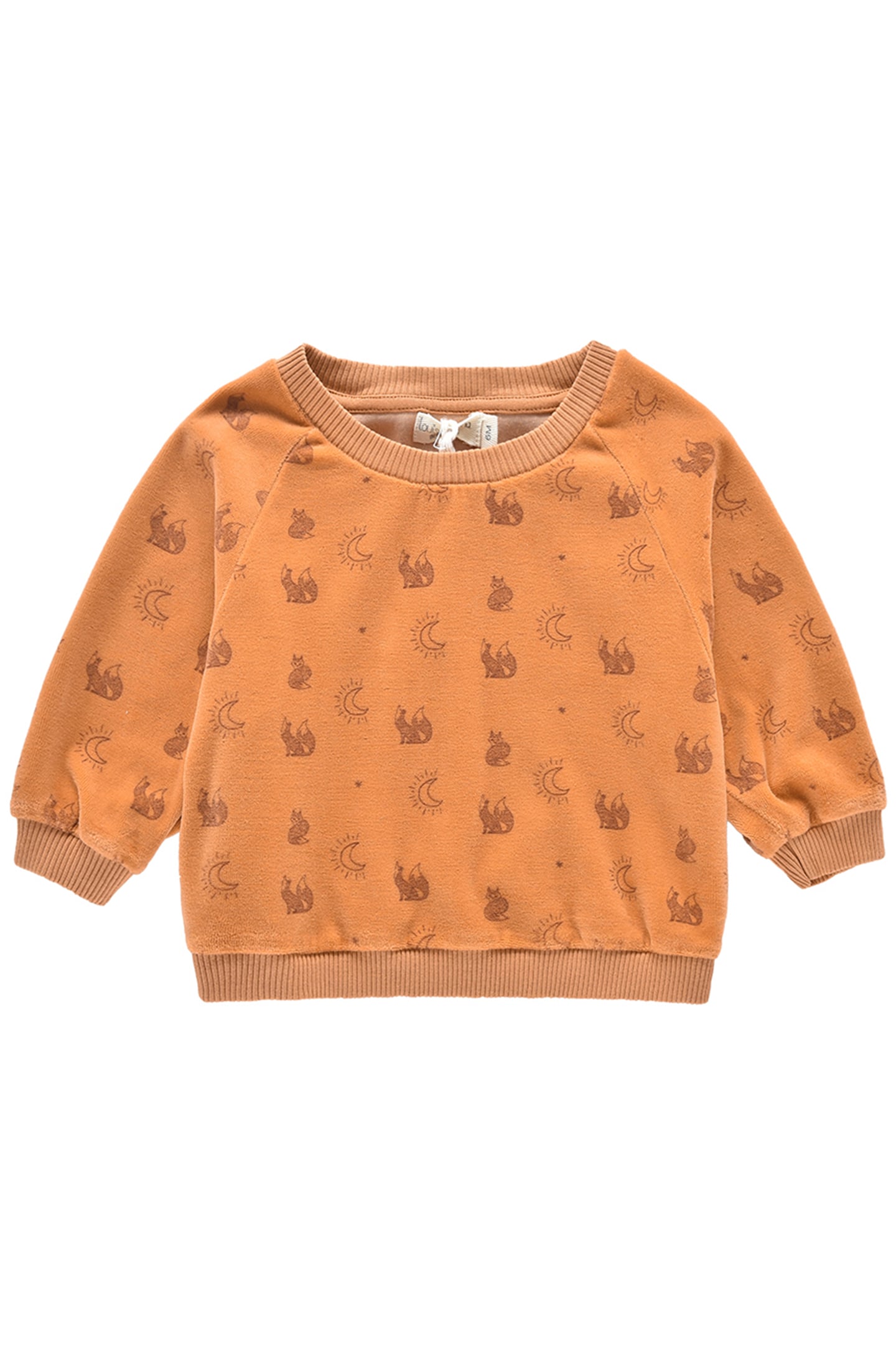 SWEATSHIRT SAMUEL NUTS 1