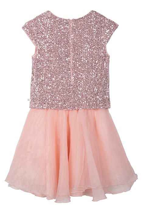 BLUSH DRESS 2