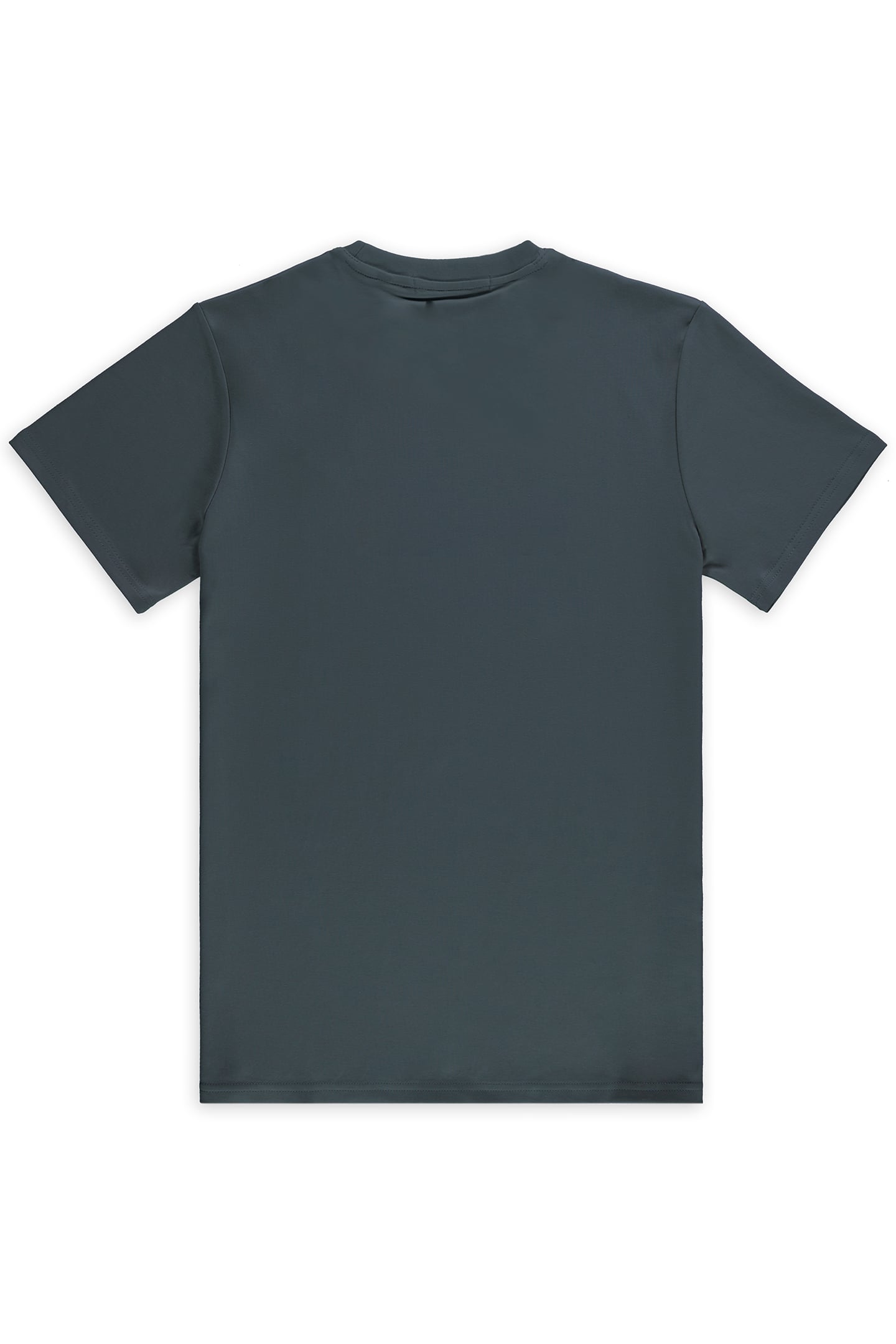 UNISEX RAF TEE GREY 2