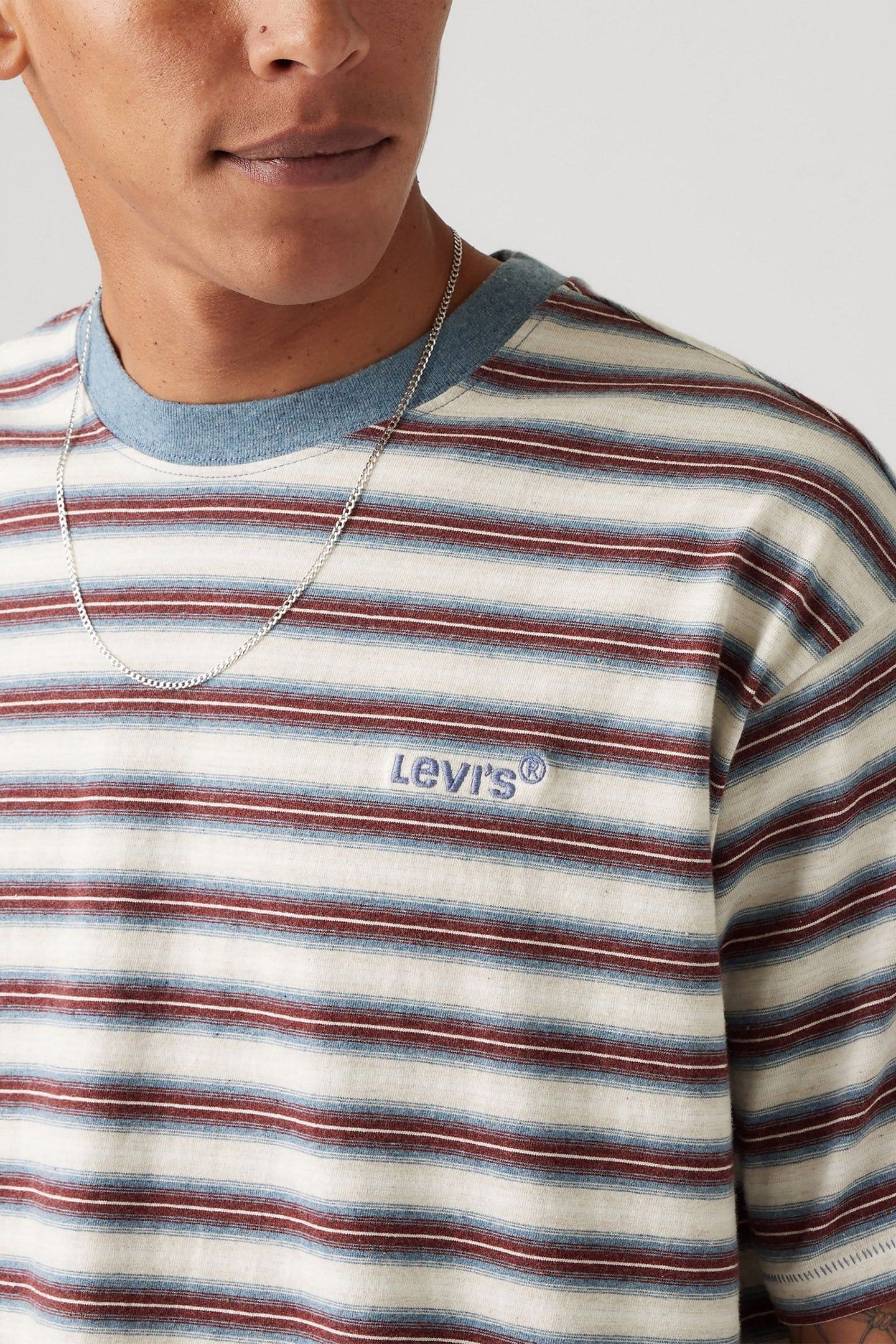 RED TAB VINTAGE TEE BREAK STRIPE PORRIDGE 5