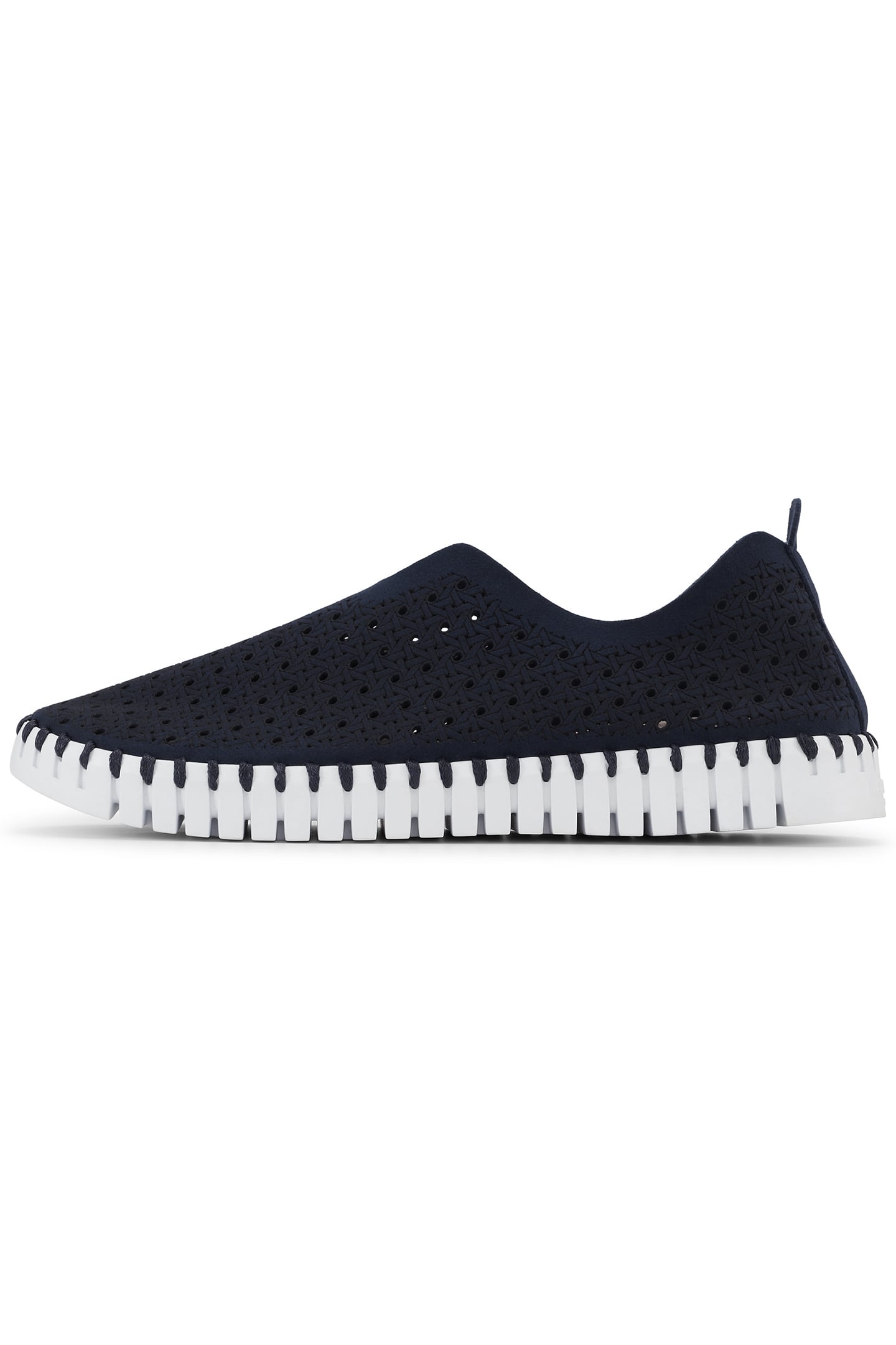 TULIP4031 DARK INDIGO WHITE 1